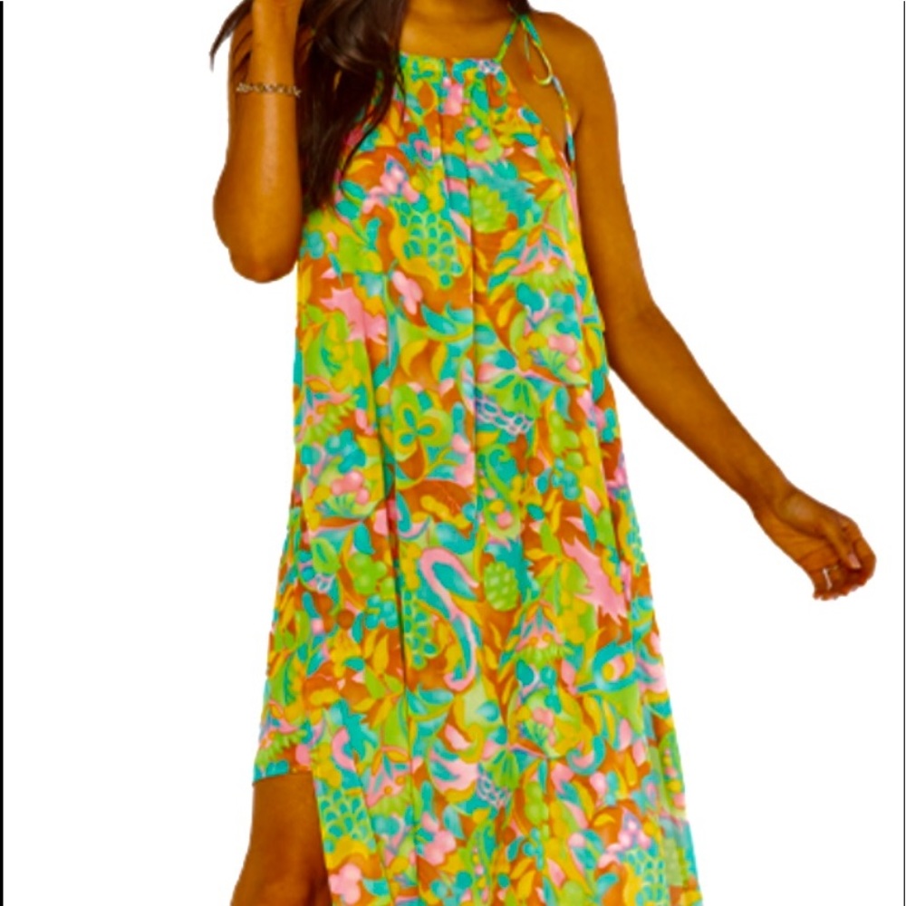 Show Me Your MuMu Maxi Dress